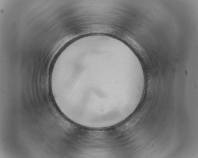 X0000089660836200706211127
