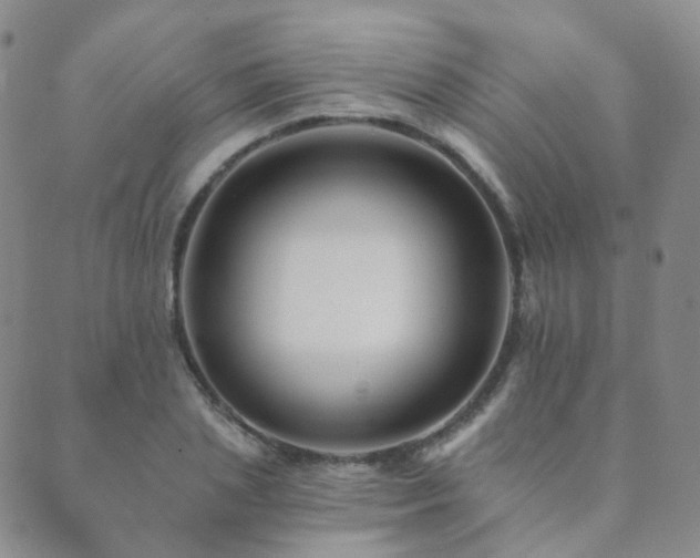 X0000089660837200706211127