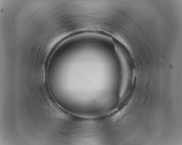 X0000089660838200706211127