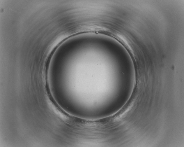 X0000089660843200706211127