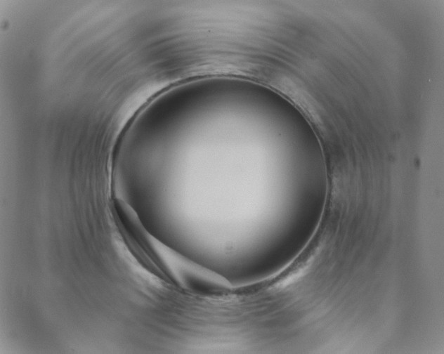 X0000089660844200706211127