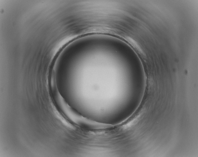 X0000089660846200706211127