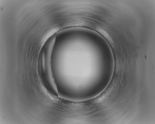 X0000089660850200706211127
