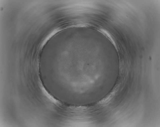 X0000089660851200706211127