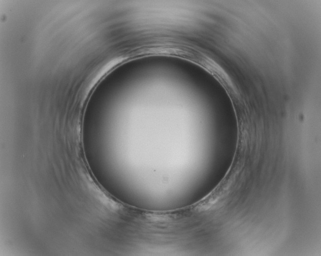 X0000089660852200706211127