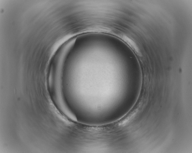 X0000089660854200706211127