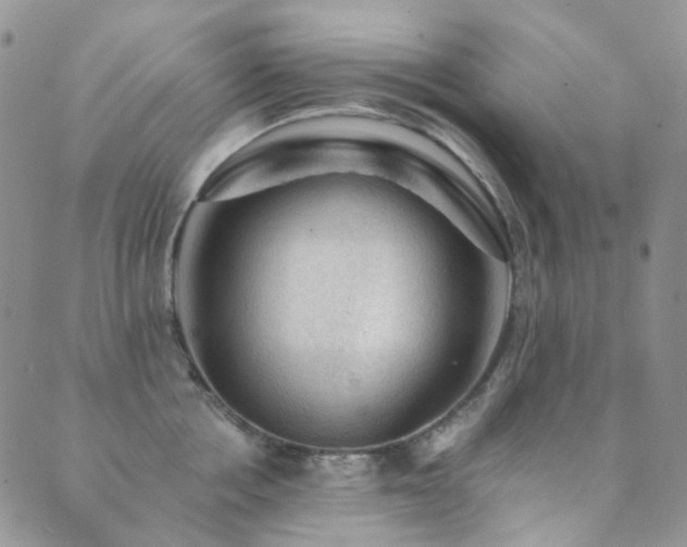 X0000089660858200706211127