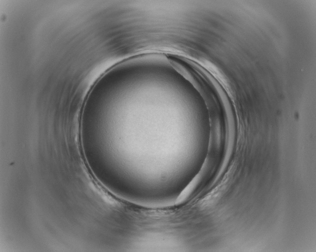 X0000089660862200706211127