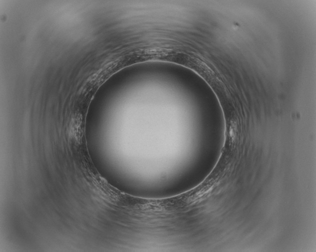 X0000089660867200706211126