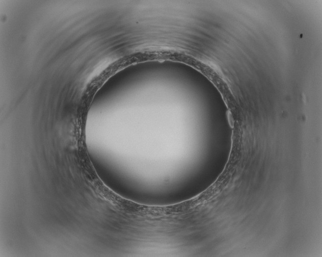 X0000089660871200706211126