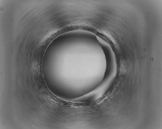 X0000089660872200706211126