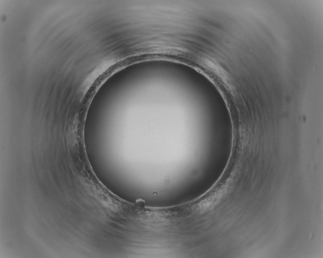 X0000089660875200706211126