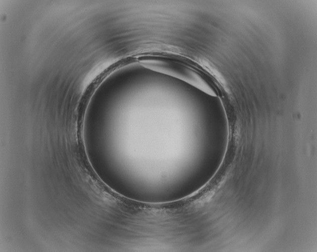 X0000089660877200706211126