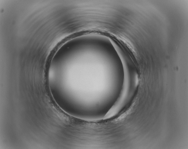 X0000089660880200706211126
