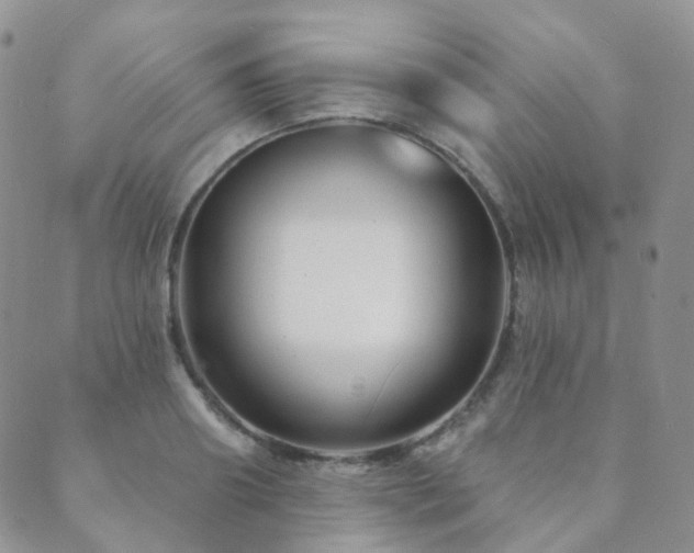 X0000089660890200706211126