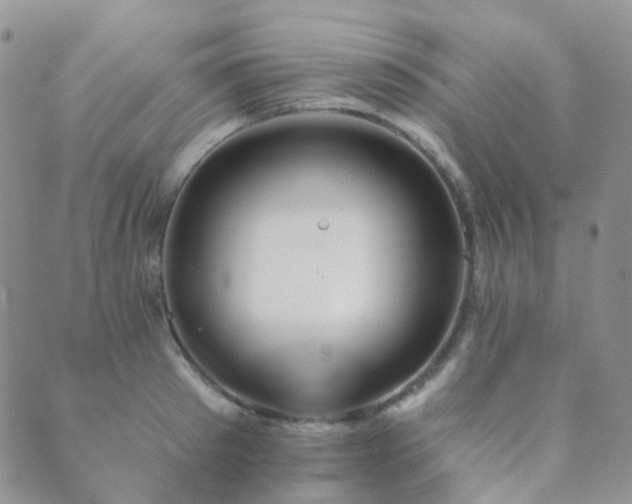 X0000089660897200706211126