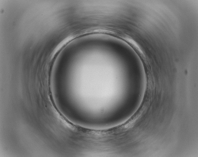 X0000089660910200706211126