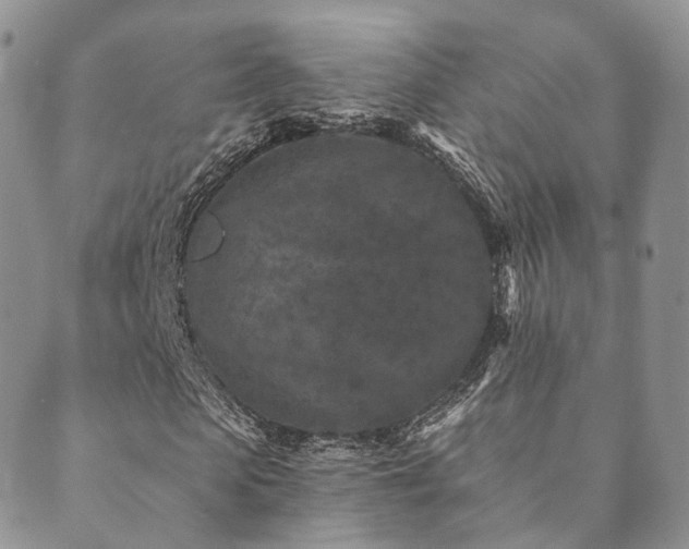 X0000089660913200706211125