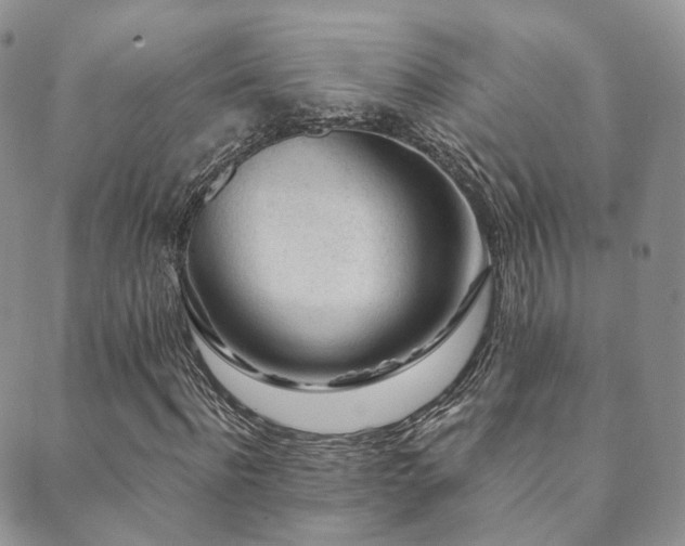 X0000089660916200706211125