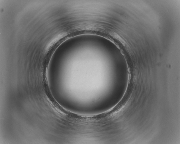 X0000089660922200706211125