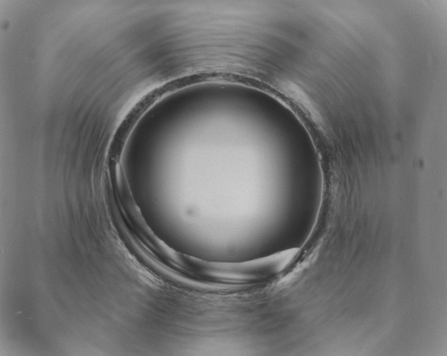 X0000089660924200706211125