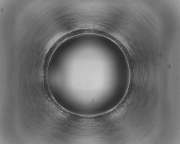 X0000089660927200706211125