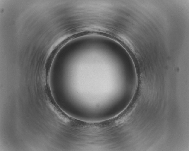 X0000089660931200706211125