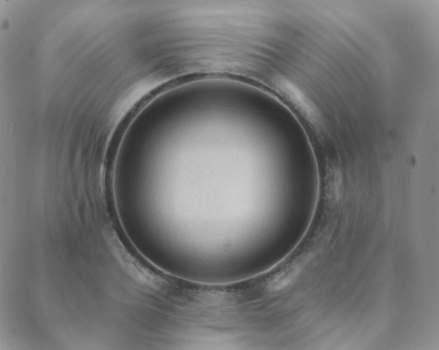 X0000089660932200706211125