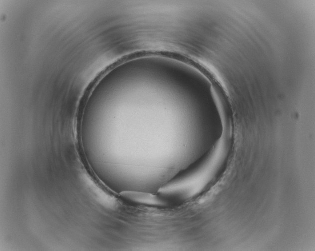 X0000089660935200706211125