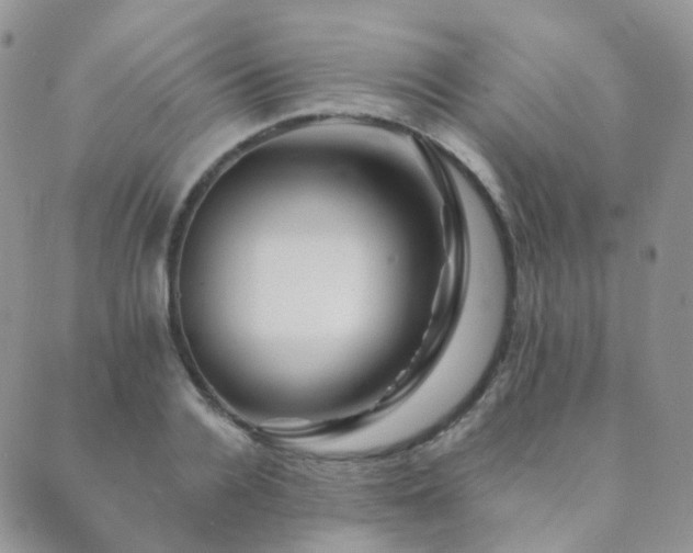 X0000089660936200706211125