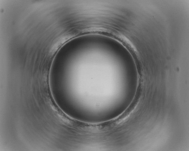 X0000089660937200706211125