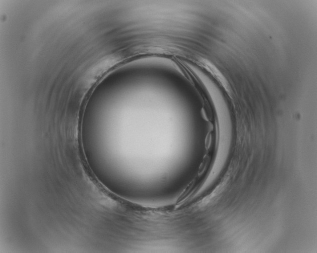 X0000089660938200706211125