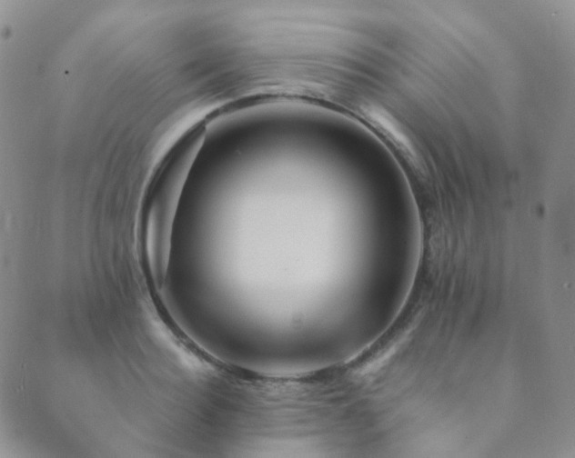 X0000089660940200706211125