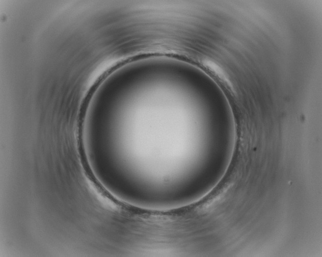 X0000089660942200706211125