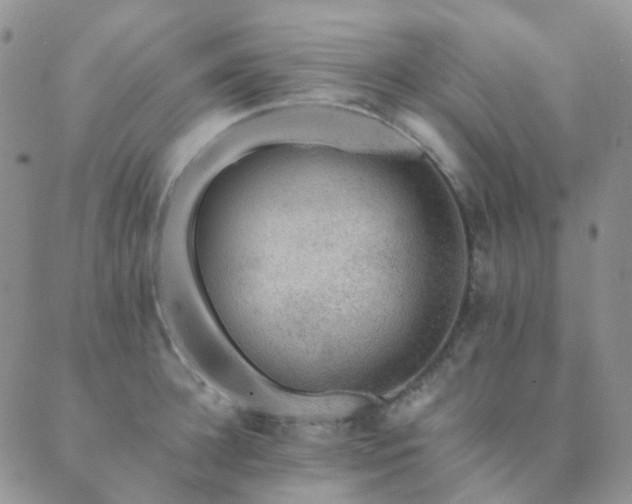 X0000089660948200706211125