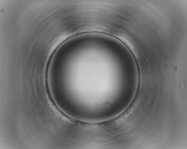 X0000089660949200706211125