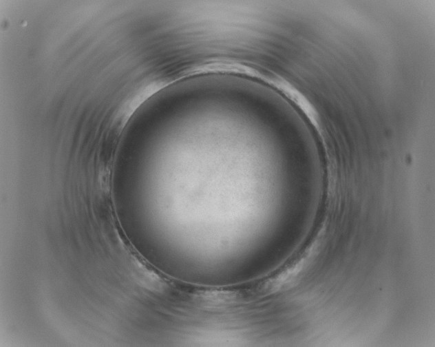 X0000089660953200706211125