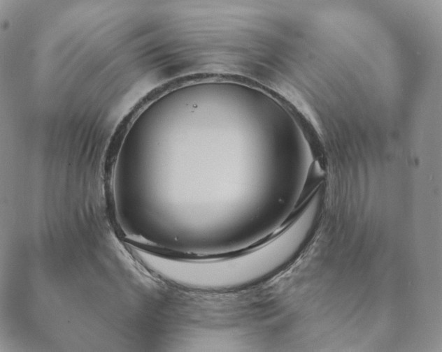 X0000089660972200706211125