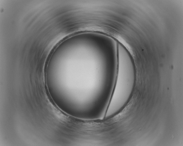 X0000089660988200706211124