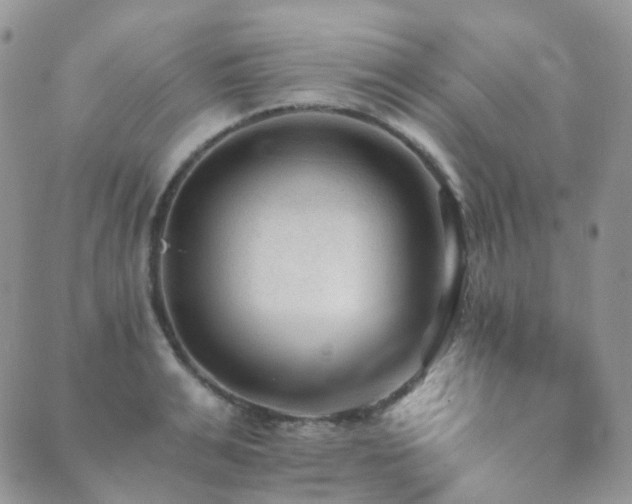 X0000089660991200706211124