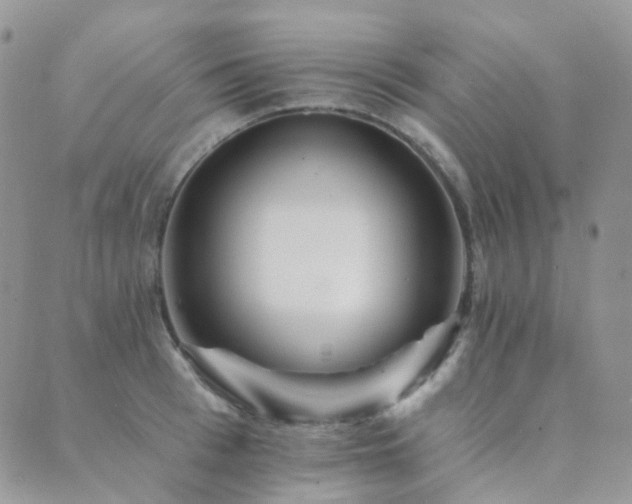 X0000089660993200706211124