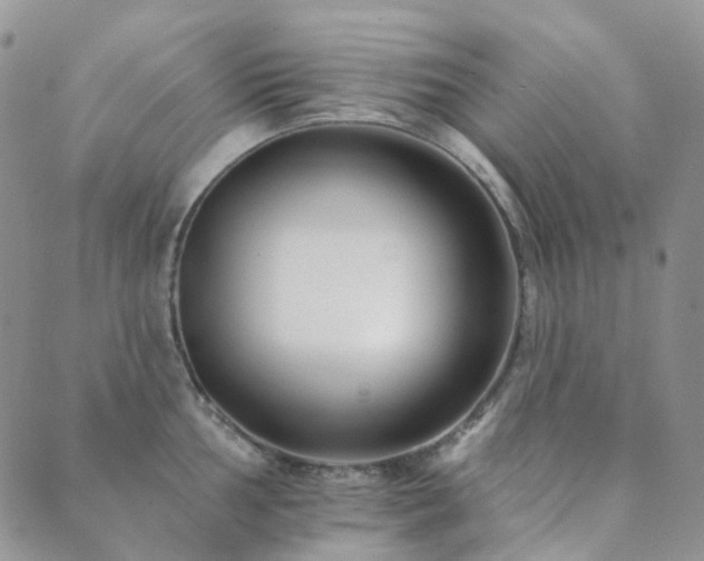 X0000089661002200706211124