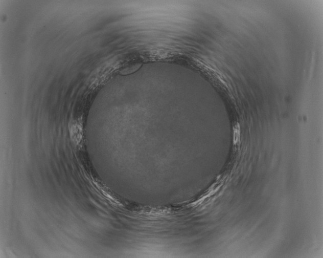 X0000089661011200706211123