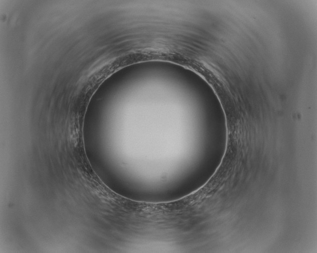 X0000089661015200706211123