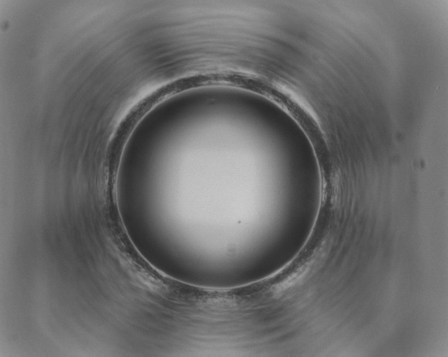 X0000089661021200706211123