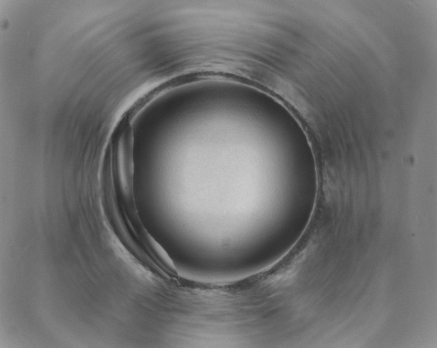 X0000089661028200706211124