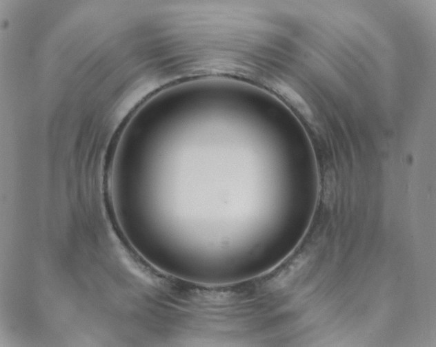 X0000089661039200706211124