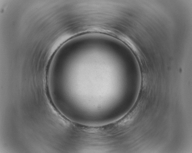 X0000089661048200706211124