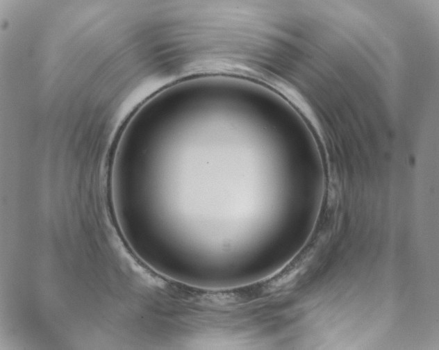 X0000089661053200706211124