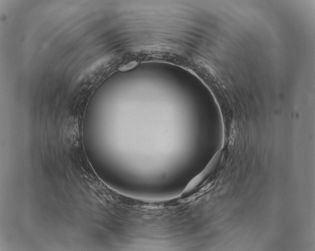 X0000089661062200706211123